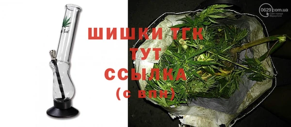 сатива Няндома