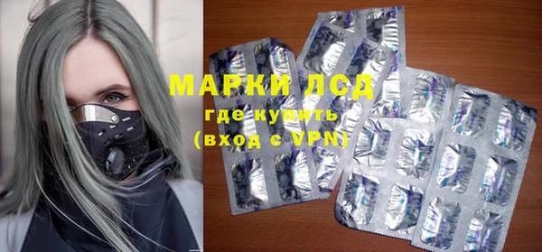 сатива Няндома