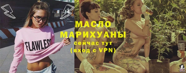 сатива Няндома
