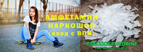 сатива Няндома