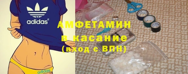 сатива Няндома
