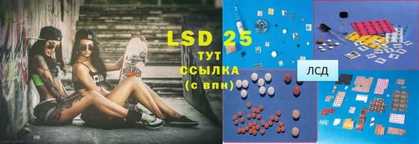 мдпв Ельня