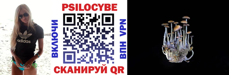 Псилоцибиновые грибы Cubensis  где купить   Полесск 